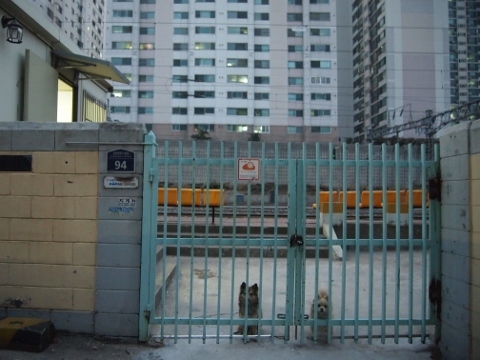 P2251962-480x360 〔韓国〕東海線　凡一（休止）