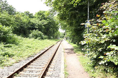 IMG_4040 〔ドイツ〕エルフト線　ツィーヴェリヒ駅