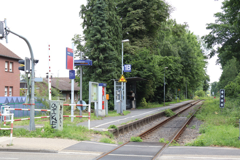 IMG_4054 〔ドイツ〕エルフト線　ツィーヴェリヒ駅