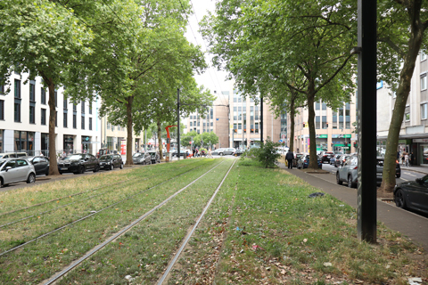 IMG_4382 〔ドイツ〕デュッセルドルフ市電　シャルロッテ通り・東通り停留場