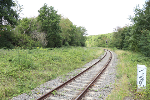 IMG_4669 〔ドイツ〕ケルン～アーヘン高速線　ホルレム駅