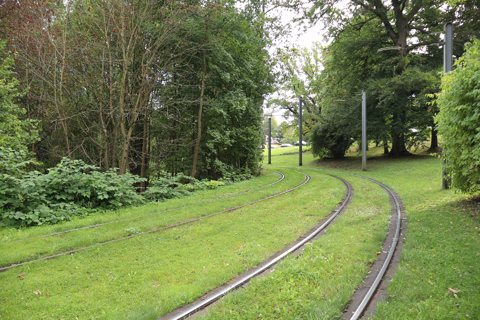 IMG_0029 〔ドイツ〕カッセル市電　ヴィルヘルムスヘーエ（公園）停留場