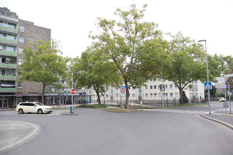 IMG_9934 〔ドイツ〕ケルン市電　ブリュール中停留場