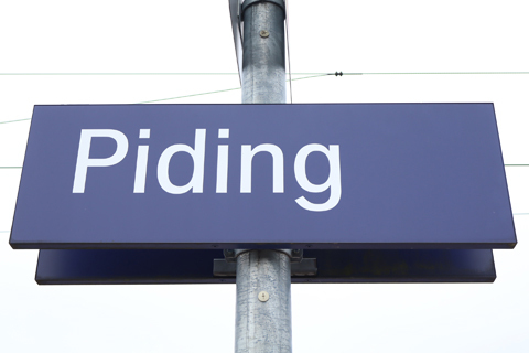 IMG_2032 〔ドイツ〕フライラッシング～バート・ライヒェンハル線　ピディング駅