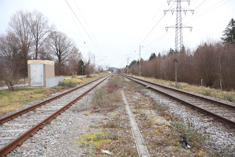 IMG_2038 〔ドイツ〕フライラッシング～バート・ライヒェンハル線　ピディング駅