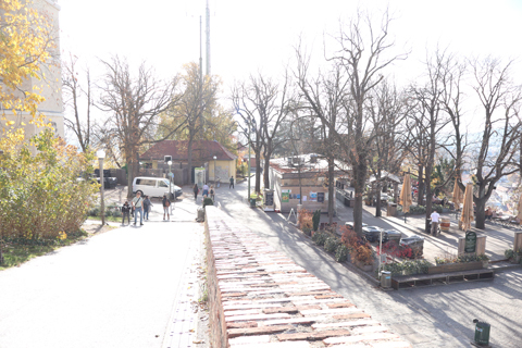 IMG_0897 〔オーストリア〕シュロスベルク鉄道　シュロスベルクレストラン駅