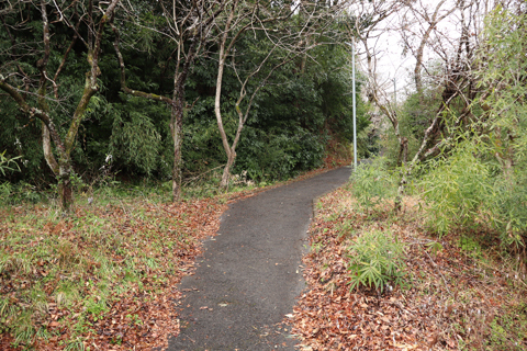 IMG_8767 いすみ鉄道　大多喜駅