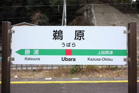 IMG_8880 外房線　鵜原駅