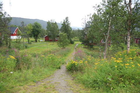 IMG_6854 〔ノルウェー〕オフォート線　カッテラト駅