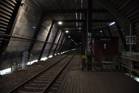 IMG_7052 〔スウェーデン〕マルム線　リクスグレンセン駅