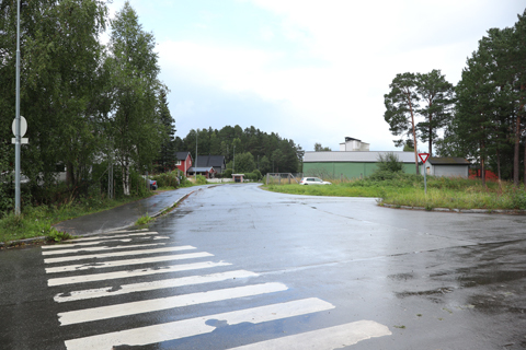 IMG_7367 〔ノルウェー〕ノールラン線 ログナン駅