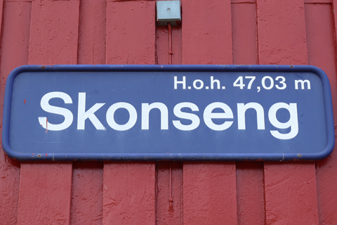 IMG_7640 〔ノルウェー〕ノールラン線　スコンセング駅