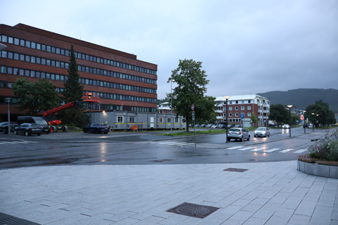 IMG_8018 〔ノルウェー〕ノールラン線 スタインヒェル駅